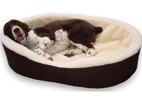 Top 10 Best Dog Beds For Large Dogs Reviews