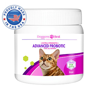 7. Cat Probiotics