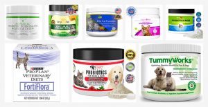 Best Probiotics for Cats/Dogs