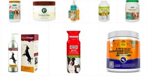 Best Vitamins For Dogs