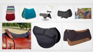 The Best Horse Saddle Pad in 2019 Reviews & Buyer's Guide