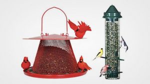 Top 10 Best Bird Feeder for Cardinals in 2019 Reviews