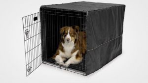 10 Best Dog Kennel Covers in 2019 Reviews