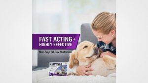 5 Best Flea Medicines for Your Dog in 2019 Reviews