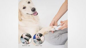 10 Best Dog Nail Grinders in 2019 Reviews