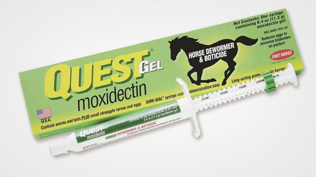 Best Horse Dewormer in 2019: Reviews and Buying Guide