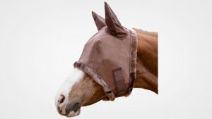 Best Horse Fly Control Mask in 2019: Reviews and Buying Guide